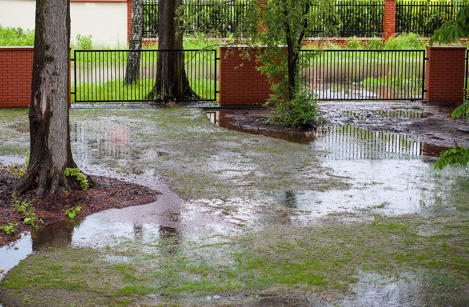 Read more about the article The Ultimate Guide to Foundation Drainage Issues [Update 2022]