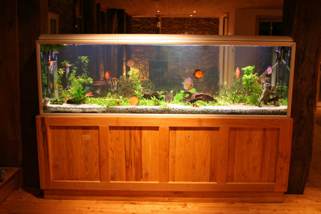 large fish tank in house 