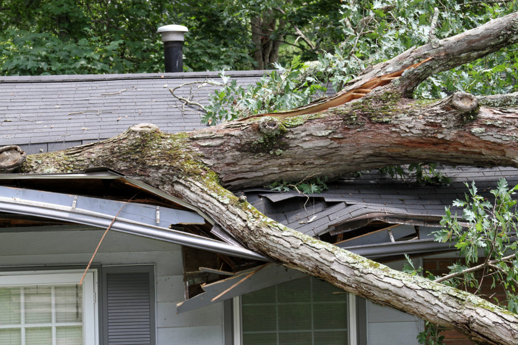 storm damage to house 