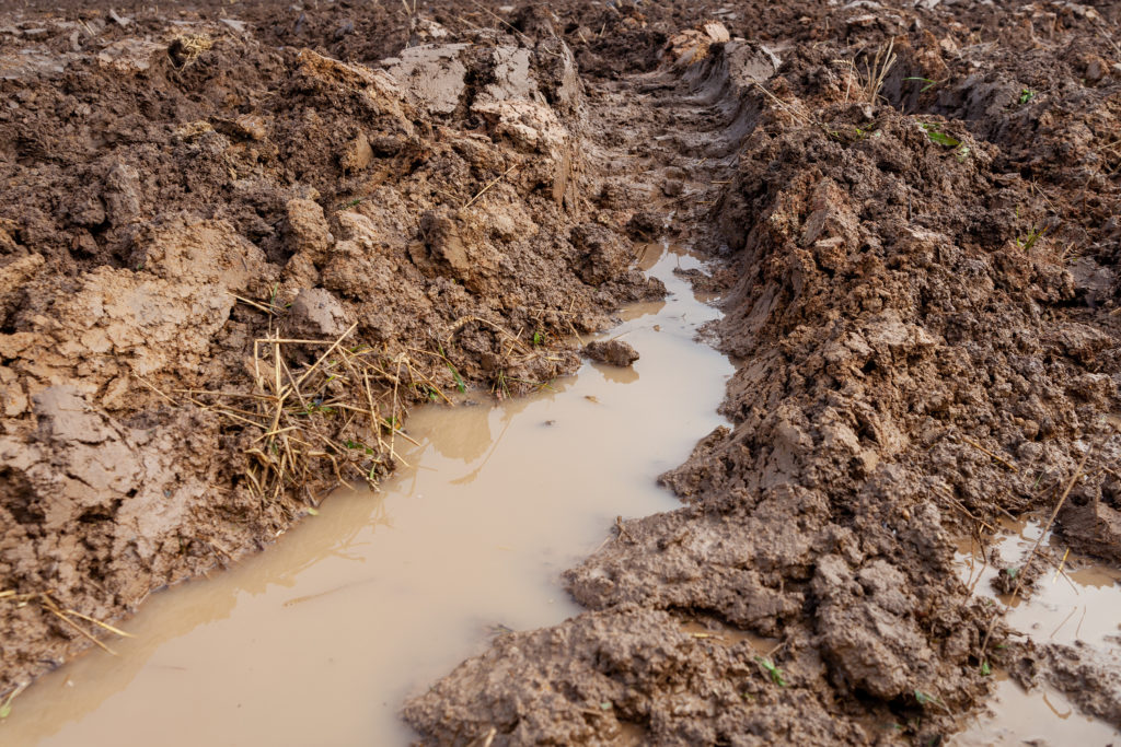 clay soils holding water