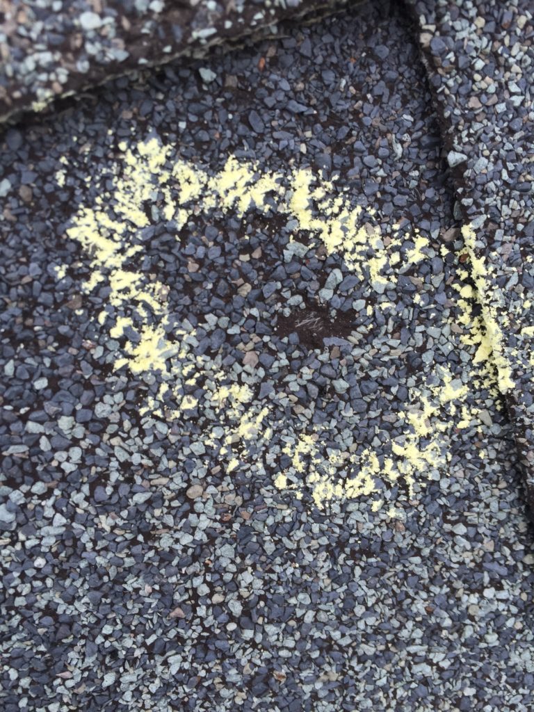 Hail Damage on roof  from storm