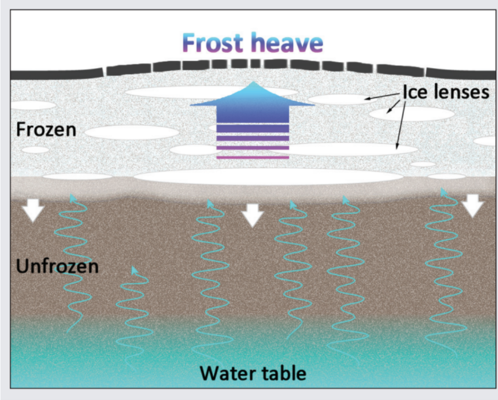 Graphic showing the mechanism behind frost heave.
