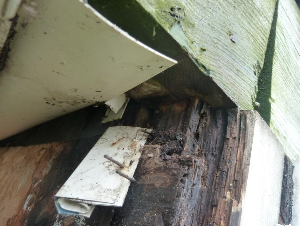 Outer deck beam rotting out 