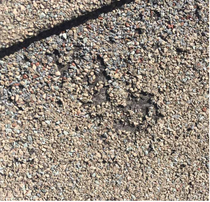 roof shingle crumbling
